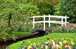 foto no. 4 dari aktivitas Dari Den Haag: Tur Pribadi Keukenhof & Kincir Angin di Lisse, diunggah oleh pemasok