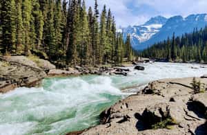 image n.4 of Banff: Moraine Lake, Lake Louise, Emerald Lake and Yoho Trip activity in Banff, uploaded by supplier
