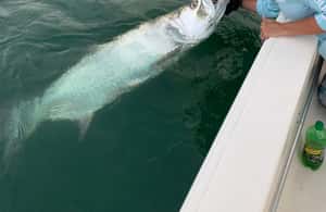imagen n.º 3 de Cayo Hueso Charter privado de pesca de bajura actividad en Cayo Hueso, subida por el proveedor