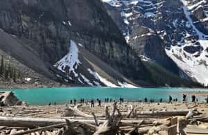image n.4 of From Banff: Moraine Lake and Lake Louise Half Day Tour activity in British Columbia, uploaded by supplier