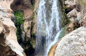 Immagine nº 4 di Muscat: avventura di canyoning nel Wadi Mibam con discesa in corda doppia attività a Regione al-Sharqiyya, caricata dal fornitore