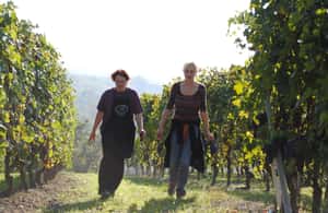 billede nr.4 af aktiviteten BAROLO: GUIDET OPLYSNING TIL VINKÆLDEREN OG VINSMAGNING MED PRODUCENTEN i Barolo, uploadet af udbyder