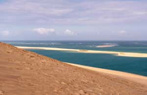 image n.4 of From Bordeaux: Arcachon Bay Full Day Tour and Oyster Lunch activity in Arcachon, uploaded by supplier