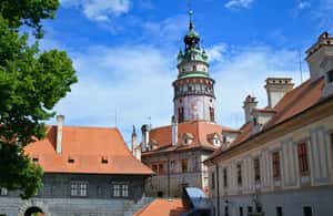 imagem n.3 de Cesky Krumlov: passeio a pé privado atividade em Český Krumlov, carregada pelo fornecedor