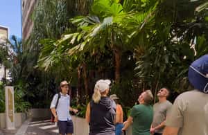 image n.3 of Best of Brisbane Walking Tour | Small Group & snack activity in Brisbane, uploaded by supplier