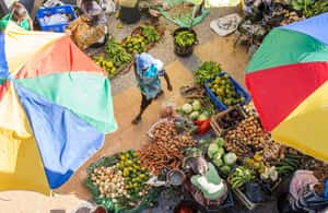 imagem n.3 de Da Praia: viagem de 1 dia para conhecer os destaques de Santiago atividade em Ilha de Santiago, Cabo Verde, carregada pelo fornecedor