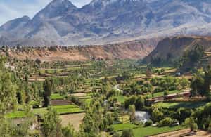 תמונה מס' ⁦4⁩ מתוך ⁦ארקיפה: סיור אופניים בפיצ'ו פיצ'ו |חצי יום|⁩, פעילות ב⁦ארקיפה⁩, הועלתה על-ידי הספק