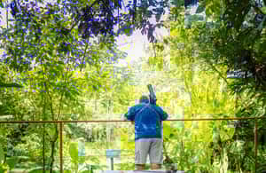 image n.3 of La Fortuna: Sloth Tour in Arenal Volcano Park & Local Snack activity in Alajuela Province, uploaded by supplier