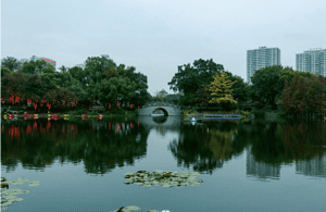 Image N°3 de Visite de la ville de Guangzhou avec déjeuner de dimsum activité à Guangzhou, publiée par le prestataire