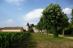 bilde nr.4 av Den vertikale på Château Cruzeau aktivitet i Libourne, lastet opp av leverandør