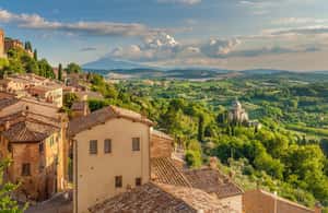 Immagine nº 4 di Da Firenze: Toscana, Siena, San Gimignano e pranzo in cantina attività a Siena, caricata dal fornitore