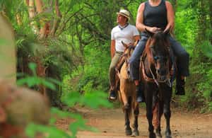 image n.4 of Sayulita: Horseback Riding Tour activity in Sayulita, uploaded by supplier
