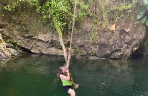billede nr.4 af aktiviteten Fajardo: El Yunque-vandrutschebane, vandfald og rebgyngetur i Río Grande, Puerto Rico, uploadet af udbyder