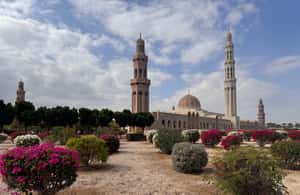 image n.4 of Oman: Private Muscat City Tour With Pick-up/ Drop-off activity in Muscat, uploaded by supplier
