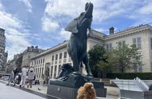 image n.4 of Orsay Museum: Museum Ticket Entry & 2h Private Guided Tour activity in Paris, uploaded by supplier