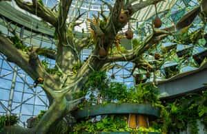 image n.3 of The Green Planet - Dubai's Unique Indoor Rainforest activity in Dubai, uploaded by supplier