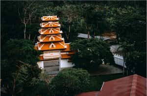 Pramogos teikėjo įkelta pramogos „Pusdienio religinė ekskursija po Hue tvirtovę“, Hue, Vietnamas, nuotrauka (3)