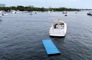 imagen n.º 3 de Miami: Excursión Privada en Yate de Alquiler con Champán y Snorkel actividad en Miami, subida por el proveedor