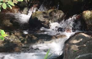 slika br. 4 iz kolekcije 3 dana Tsavo East & Tsavo West Safari iz Dianija/Mombase aktivnosti u mjestu Obalna provincija, prenio opskrbni partner