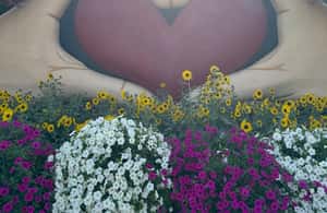 image n.3 of Dubai: Miracle Garden Ticket With Transfer activity in Dubai, uploaded by supplier