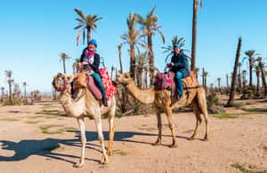 imagen n.º 3 de Marrakech: Tour de medio día en quad por el desierto con paseo en camello actividad en Marrakech, subida por el proveedor