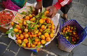 image n.4 of Port Louis: Street Eats and City Highlights Walking Tour activity in Port Louis, uploaded by supplier