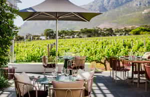 gambar no.3 daripada Lawatan Wain Persendirian Capetown: Lawatan Manor, termasuk lawatan bawah tanah aktiviti di Cape Town, dimuat naik oleh pembekal 