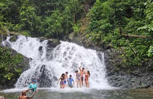 image n.4 of Panama: The Full Rainforest Experience activity in Colón Province, uploaded by supplier