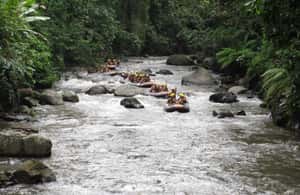 image n.4 of Ubud: Ayung River Rafting Include Lunch activity in Bali, uploaded by supplier