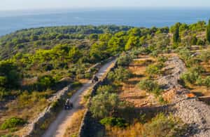 billede nr.3 af aktiviteten Šolta ATV Adventure - skjulte strande og naturskønne stier i Maslinica, uploadet af udbyder