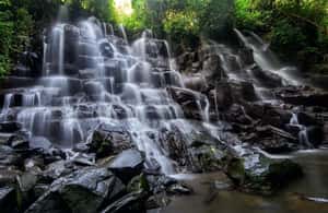 image n.4 of Ubud: Waterfalls, Water Temple & Rice Terraces Private Tour activity in Bali, uploaded by supplier