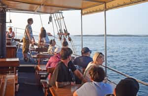 Bild Nr. 3 von Fazana: Delfinjagd auf den Brijuni-Inseln Safari mit Abendessen Aktivität in Pula, Kroatien, hochgeladen vom Anbieter