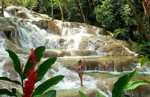 imagem n.3 de Tour particular para Dunns River e Blue Hole saindo de Montego Bay atividade em Ocho Rios, carregada pelo fornecedor