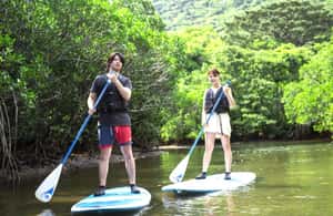 image n.4 of Iriomote island: Mangrove River SUP or Canoe Cruising Tour activity in Taketomi Island, uploaded by supplier