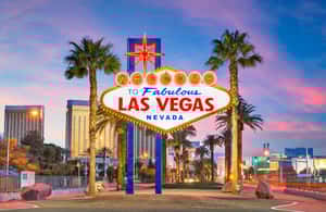 Image N°4 de Las Vegas : visite nocturne des 7 merveilles avec prise en charge à l'hôtel activité à Las Vegas, publiée par le prestataire