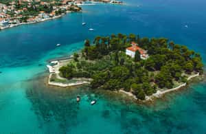 Obraz nr 3 z atrakcji Zadar: Rejs snorkelingowy na 3 wyspy z winem musującym w Dalmacja, przesłany przez organizatora