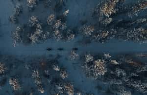 image n.3 of E-Fatbike Adventure in Snowy Forest – Levi activity in Sirkka, uploaded by supplier