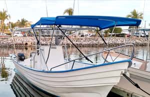 Εικόνα 3 από Mazatlan: θαλάσσια λιοντάρια και κολύμπι με αναπνευστήρα δραστηριότητα σε Μαζατλάν, ανέβηκε από πάροχο