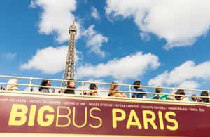image n.4 of Paris Pass® Plus: Tickets to Louvre, Eiffel Tower & 90+ more activity in Paris, uploaded by supplier