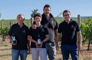 Immagine nº 3 di Montefalco: Tour della cantina e del vigneto e degustazione privata attività a Montefalco, caricata dal fornitore