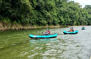 image n.3 of Panama: The Full Rainforest Experience activity in Colón Province, uploaded by supplier