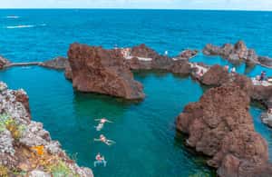 Immagine nº 4 di Funchal: tour di Porto Moniz, Seixal, Fanal e Cabo Girão attività a Madeira, caricata dal fornitore
