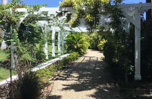 imagem n.3 de Montego Bay: Visita à Casa Grande de Rose Hall atividade em Montego Bay, carregada pelo fornecedor