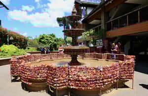 image n.4 of Gramado and Canela: Private Day Tour activity in Gramado, uploaded by supplier