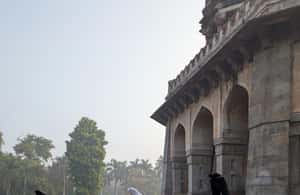 image n.4 of Delhi: Yoga in Lodhi Garden activity in New Delhi, uploaded by supplier