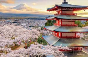 obrázek č.3 aktivity Tokio: Mt Fuji Soukromá jednodenní prohlídka s anglickým řidičem Nízká cena v destinaci Fujiyoshida, nahraný poskytovatelem aktivity