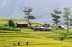 зображення №4 активності «Sapa: еко-пригоди Terrace Fields and Local Villages Trek» в такій локації: Північний В'єтнам, завантажене постачальником