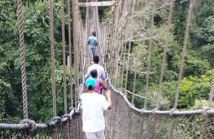 image n.4 of 10 DAYS HISTORY AND ADVENTURE TOUR activity in Accra, uploaded by supplier