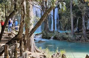 Bild Nr. 4 von Ab San Cristobal: Chiflon und die Seen von Montebello Tour Aktivität in Chiapas, hochgeladen vom Anbieter
