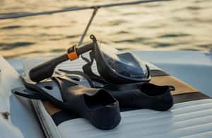 Immagine nº 3 di Costa Rica: avvistamento delfini e snorkeling con charter privato attività a Santa Cruz, Costa Rica, caricata dal fornitore